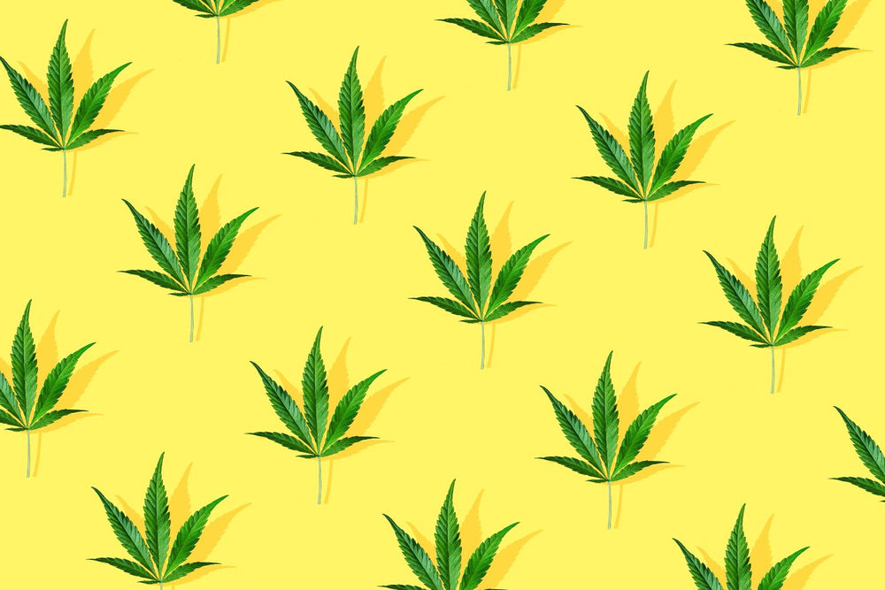 What is THC-Free CBD Products and What to Look For