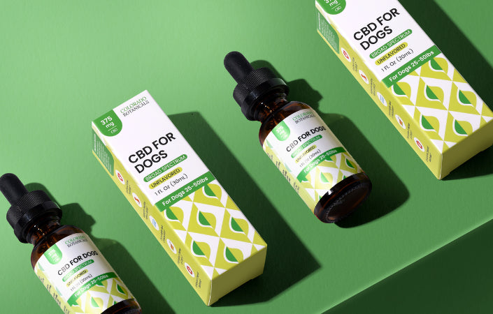CBD for Dogs