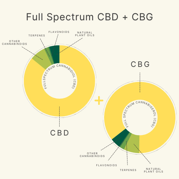 Recovery 1,500mg CBG + Full Spectrum CBD Oil - Colorado Botanicals